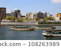 Cherry blossom trees in full bloom and houseboats along the Sumida River 108263989