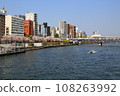 Cherry blossoms in full bloom along the Sumida River 108263992
