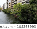 A group of apartment buildings along the Tsukishima River 108263993
