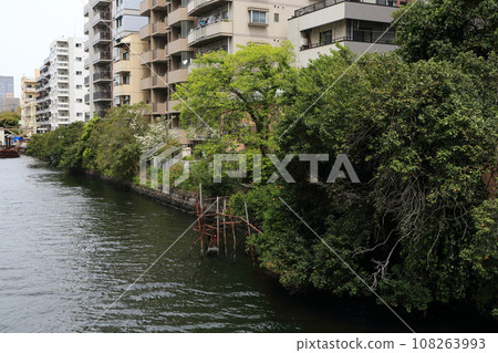 月島川沿岸的公寓大樓群 月島川沿岸的公寓大樓群 108263993