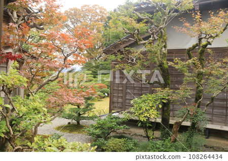 Tsuji family park 108264434