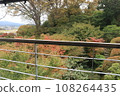Tsuji family park 108264435