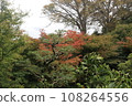 Tsuji family park 108264556
