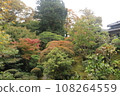 Tsuji family park 108264559