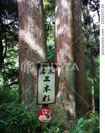 千葉縣長生郡長南町笠森觀音 108265536