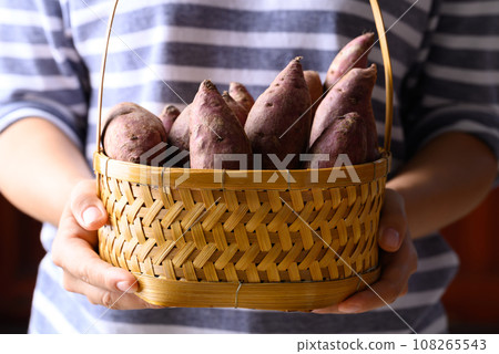 Purple sweet potato in basket holding by woman hand Purple sweet potato in basket holding by woman hand 108265543