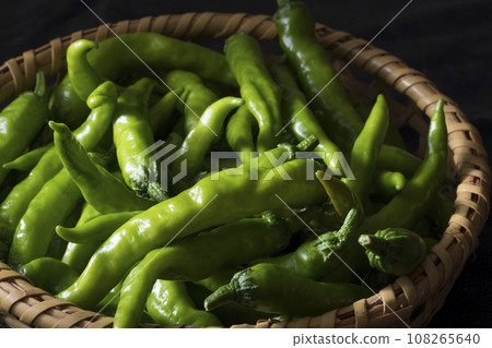 青辣椒  108265640