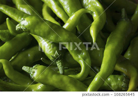 Green chili  108265645