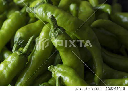 Green chili  108265646