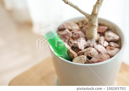 Ornamental plants, rubber trees, and liquid fertilizers that withered due to disease Ornamental plants, rubber trees, and liquid fertilizers that withered due to disease 108265701