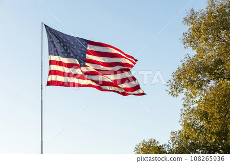 Waving American USA Flags on Flagpole On Background Of Blue Sky, Green tree, Template Horizontal Plane Waving American USA Flags on Flagpole On Background Of Blue Sky, Green tree, Template Horizontal Plane 108265936