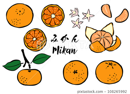 Japanese style_brush-touched citrus fruits_mandarin oranges 108265992