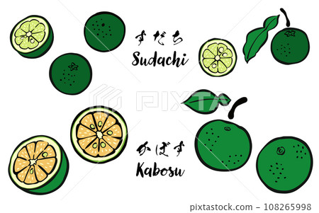 日式_筆觸柑橘類水果_須橘、卡波蘇 日式_筆觸柑橘類水果_須橘、卡波蘇 108265998