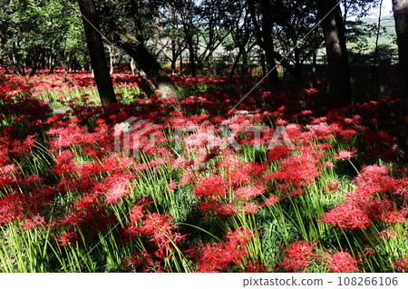 金澤田文殊坂 108266106