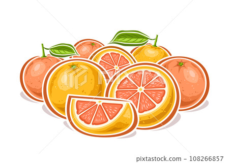 Vector logo for Grapefruits Vector logo for Grapefruits 108266857