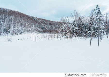 Biei Blue Pond with Snow in winter season. landmark and popular for attractions in Hokkaido, Japan. Travel and Vacation concept Biei Blue Pond with Snow in winter season. landmark and popular for attractions in Hokkaido, Japan. Travel and Vacation concept 108267436