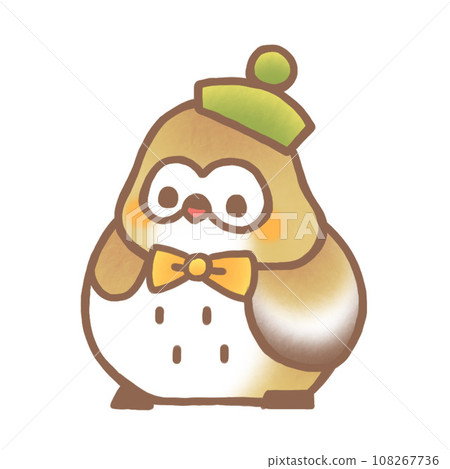 Owl wearing a beret 108267736
