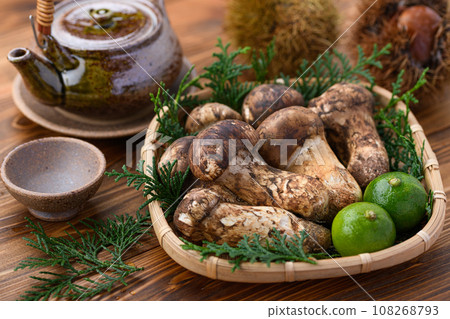 秋天的味道 松茸，優質食材 蘑菇 日式形象 松茸 108268793