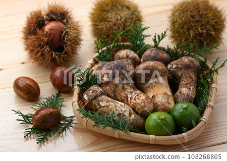 秋天的味道 松茸，優質食材 蘑菇 日式形象 松茸 108268805