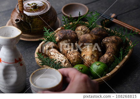 秋天的味道 松茸，優質食材 蘑菇 日式形象 松茸 108268815