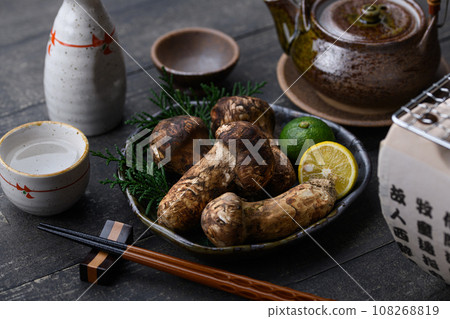秋天的味道 松茸,優質食材 蘑菇 日式形象 松茸 秋天的味道 松茸,優質食材 蘑菇 日式形象 松茸 108268819