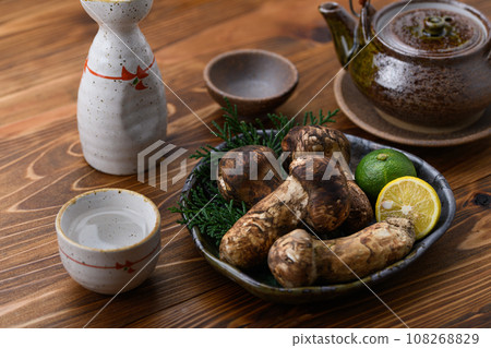 Autumn taste Matsutake, a high-quality ingredient Mushroom Japanese style image Matsutake Autumn taste Matsutake, a high-quality ingredient Mushroom Japanese style image Matsutake 108268829