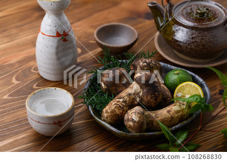 秋天的味道 松茸,優質食材 蘑菇 日式形象 松茸 秋天的味道 松茸,優質食材 蘑菇 日式形象 松茸 108268830
