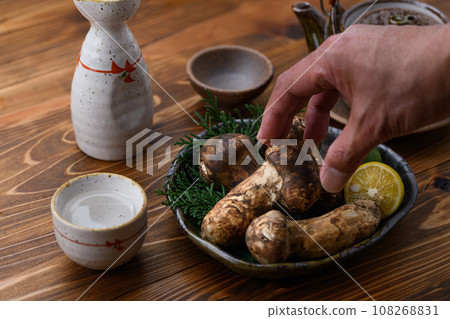秋天的味道 松茸，優質食材 蘑菇 日式形象 松茸 108268831