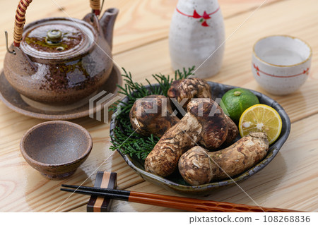 秋天的味道 松茸,優質食材 蘑菇 日式形象 松茸 秋天的味道 松茸,優質食材 蘑菇 日式形象 松茸 108268836