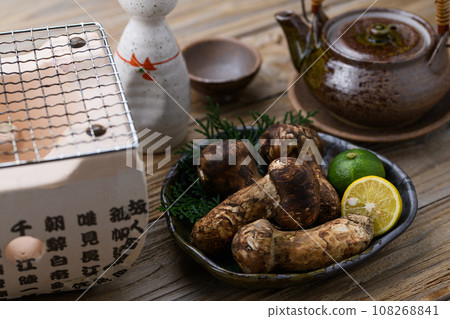 秋天的味道 松茸，優質食材 蘑菇 日式形象 松茸 108268841