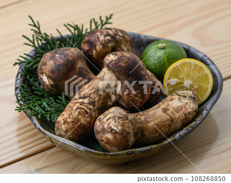 秋天的味道 松茸，優質食材 蘑菇 日式形象 松茸 108268850