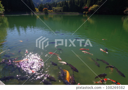 稻aga湖（山梨縣南稻In湖，南阿爾卑斯山） 108269382