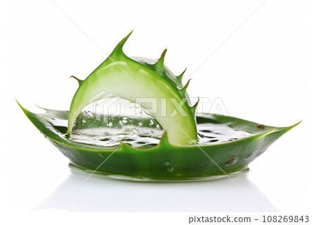 aloe vera isolated on white background. Cosmetics and body care concept 108269843