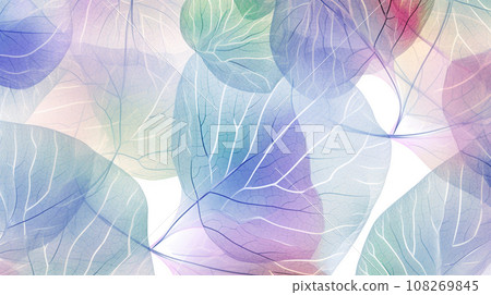 Beautiful white skeletonized leaf blue and purple colors. 108269845