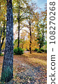 Autumn. Multicolored maple leaves lie on the grass. Colorful background image of fallen autumn leaves perfect for seasonal use 108270268