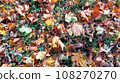 Autumn. Multicolored maple leaves lie on the grass. Colorful background image of fallen autumn leaves perfect for seasonal use 108270270