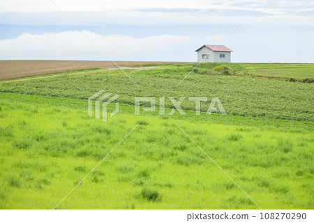 Hokkaido Biei Hill (landscape with grassland and hut) 108270290