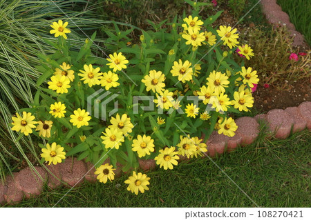 九十九里之宿 九十九里之宿 108270421