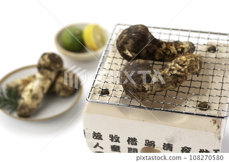 秋天松茸的味道，優質食材蘑菇日式圖像松茸白色背景 108270580