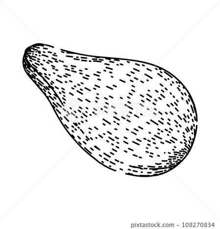 organic sesame seed sketch hand drawn vector organic sesame seed sketch hand drawn vector 108270834