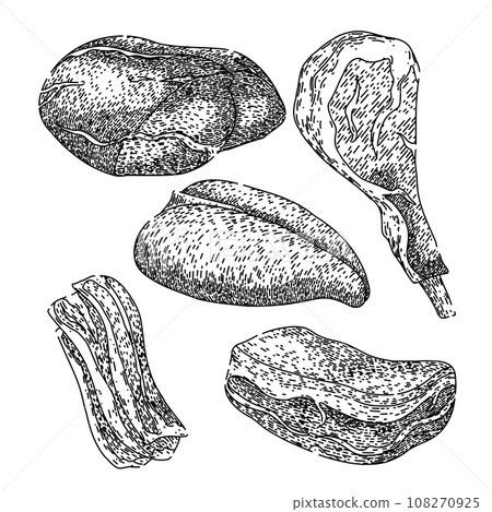 meat set sketch hand drawn vector meat set sketch hand drawn vector 108270925