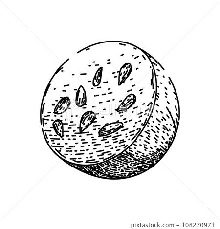 food gooseberry sketch hand drawn vector 108270971