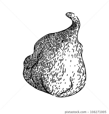 food fig sketch hand drawn vector 108271005