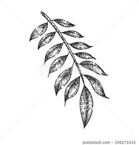 asian curry sketch hand drawn vector asian curry sketch hand drawn vector 108271032