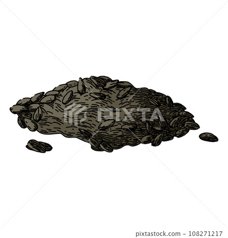 food sunflower seed sketch hand drawn vector 108271217