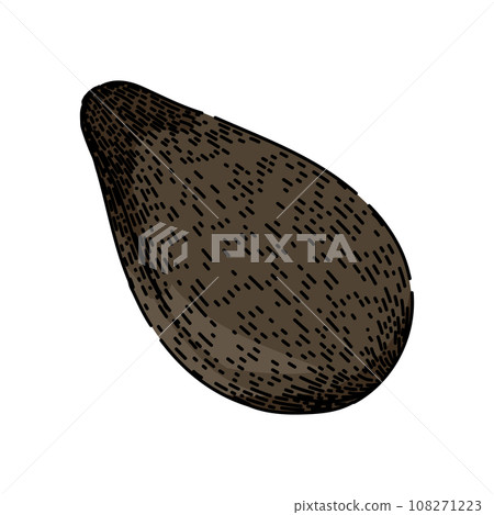 natural sesame seed sketch hand drawn vector natural sesame seed sketch hand drawn vector 108271223