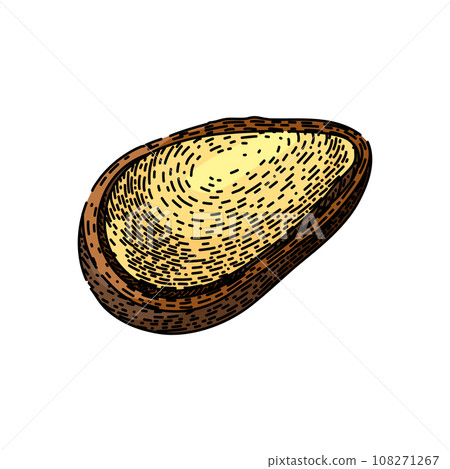 snack pine nut sketch hand drawn vector 108271267