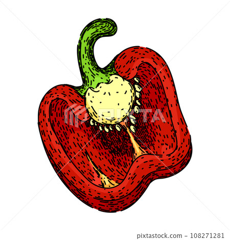 ingredient pepper spice sketch hand drawn vector ingredient pepper spice sketch hand drawn vector 108271281