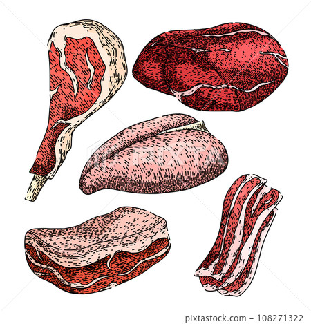 meat set sketch hand drawn vector 108271322