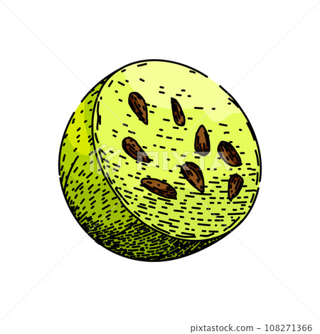 food gooseberry sketch hand drawn vector 108271366